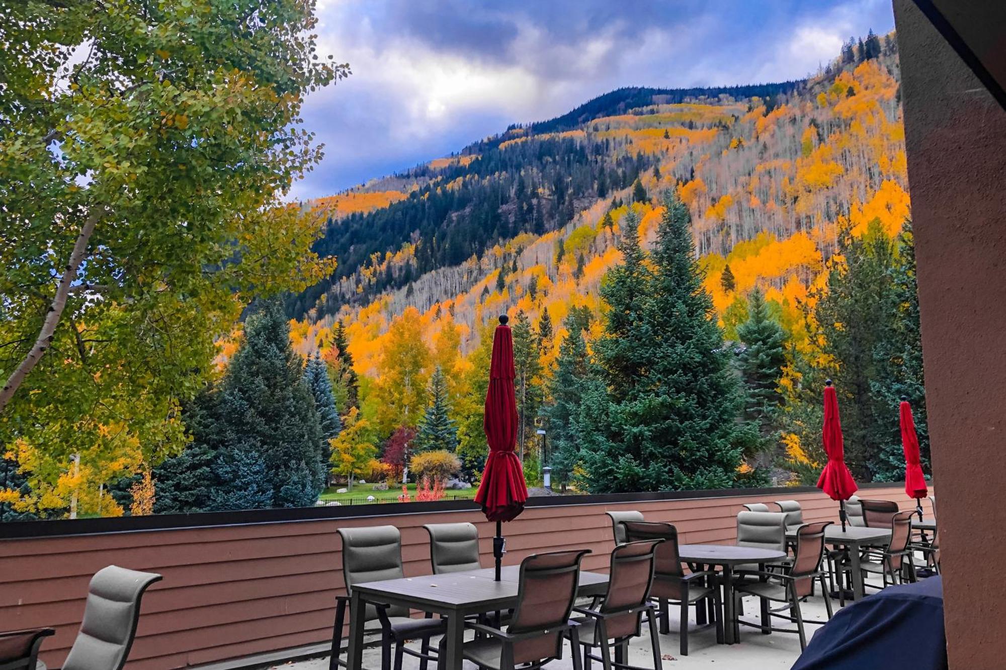 Fallridge Vail Rum bild