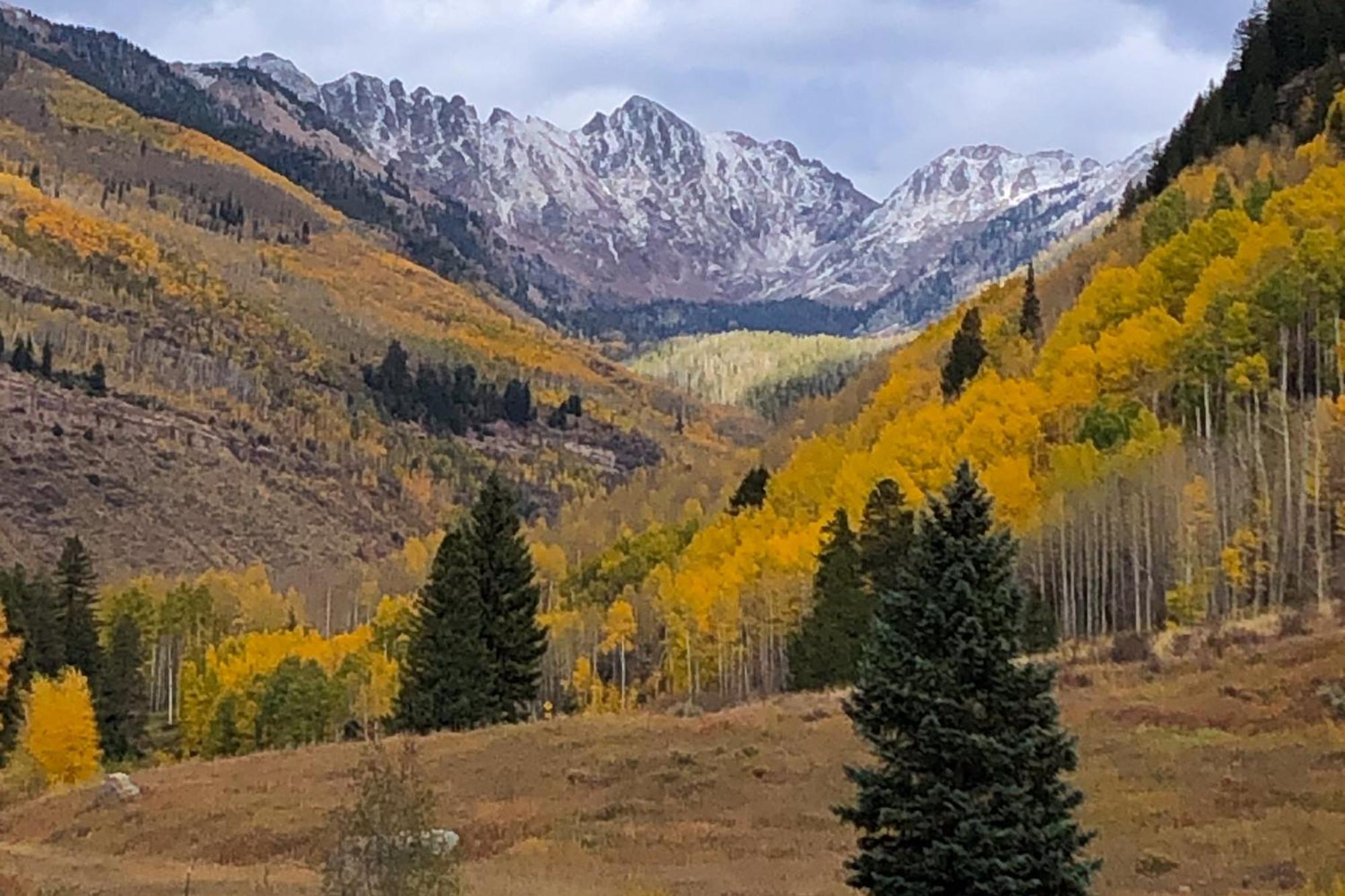 Fallridge Vail Rum bild